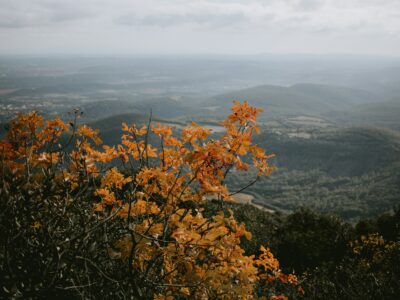 Chemins de Photos 2026 : l'Aude transformée en galerie géante à ciel ouvert