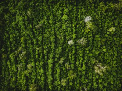 L’Été Photographique de Lectoure 2026 : un laboratoire d’images au cœur du Gers
