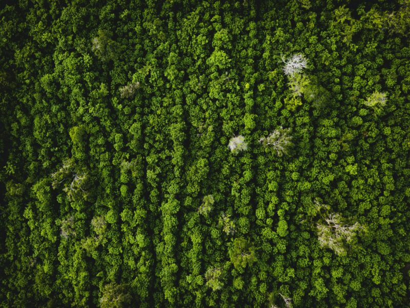 Un rendez‑vous incontournable de la photographie en Auvergne‑Rhône‑Alpes