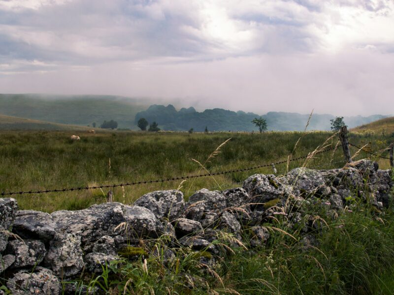 PHOT'Aubrac 2026 : le festival photo le plus authentique de France
