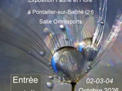 Festival Photographique Esprit Nature